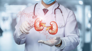 Médico com holograma de rins, para falar do risco de câncer